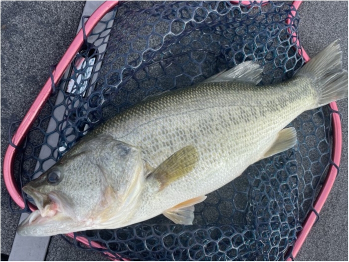 truth  ブログ写真 2021/09/22