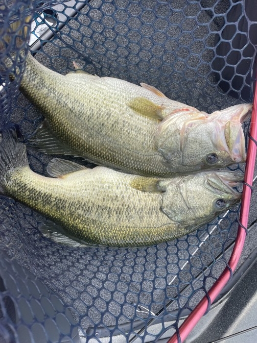 truth  ブログ写真 2021/09/22