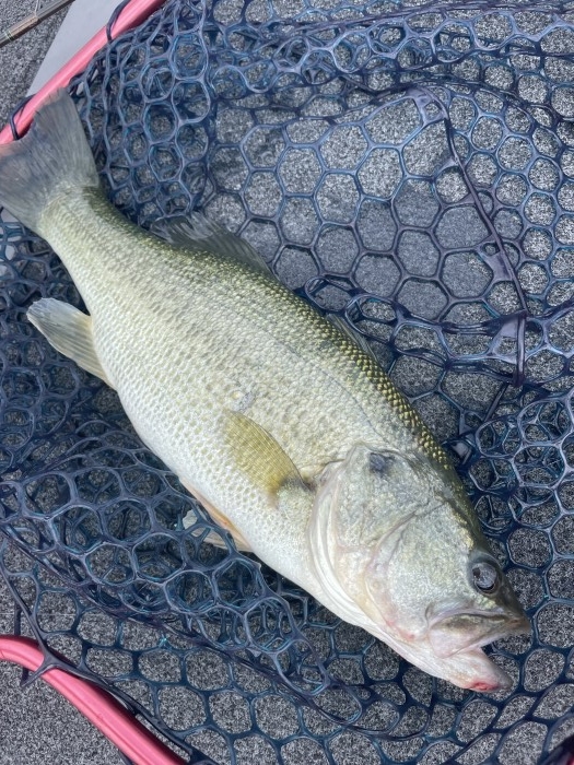 truth  ブログ写真 2021/09/22