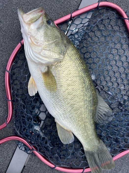 truth  ブログ写真 2021/09/22