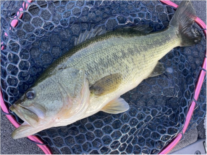 truth  ブログ写真 2021/09/23