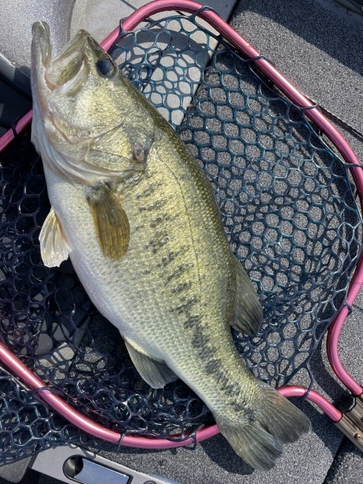 truth  ブログ写真 2021/09/23