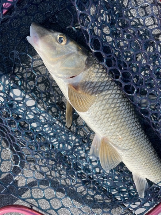 truth  ブログ写真 2021/09/23