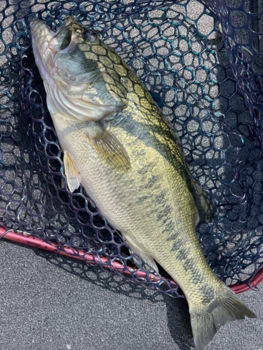 truth  ブログ写真 2021/09/23