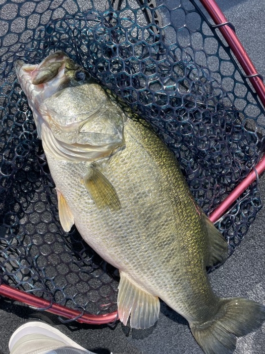 truth  ブログ写真 2021/09/23