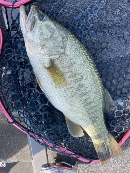 truth  ブログ写真 2021/09/24