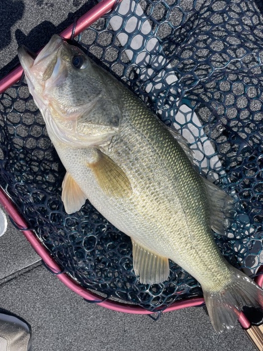 truth  ブログ写真 2021/09/25