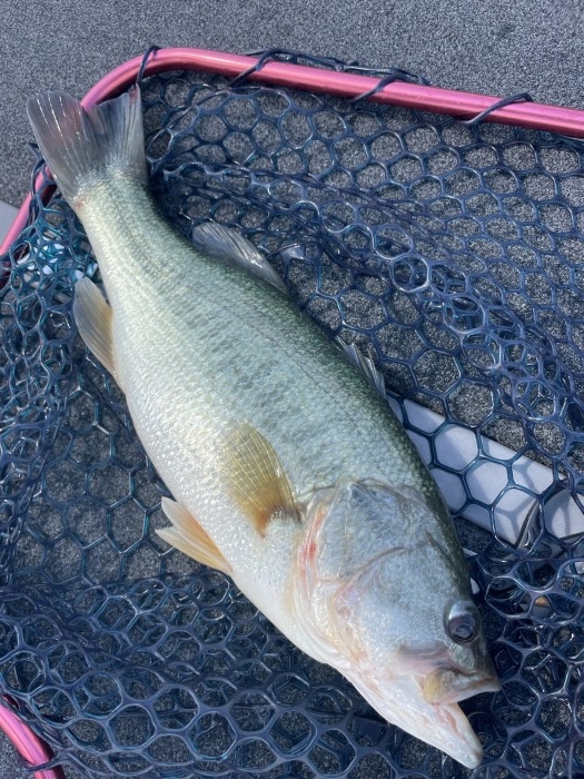 truth  ブログ写真 2021/09/25