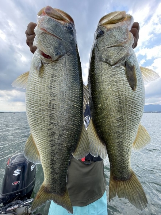 truth  ブログ写真 2021/09/25