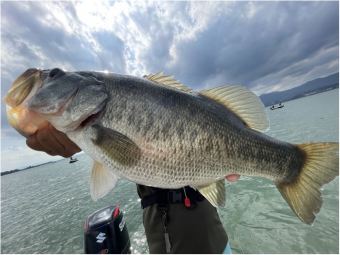 truth  ブログ写真 2021/09/25