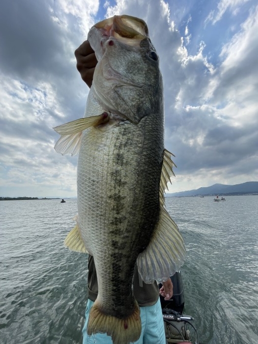 truth  ブログ写真 2021/09/25