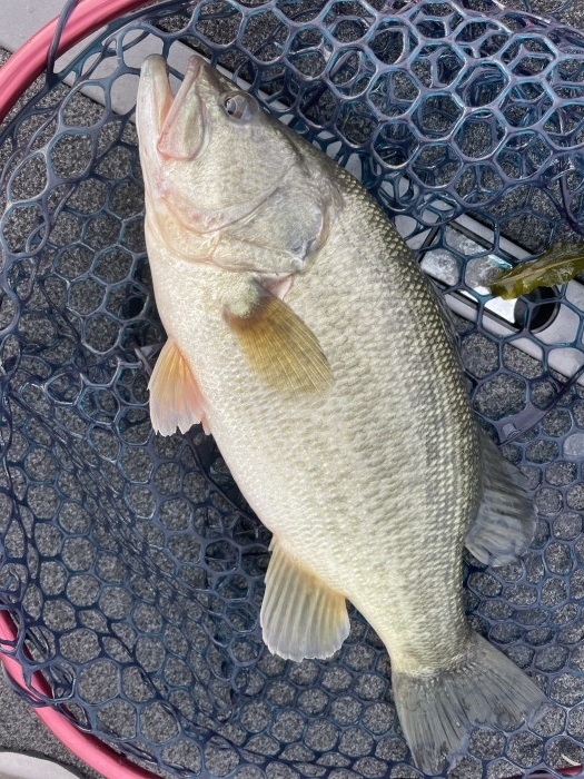 truth  ブログ写真 2021/09/25