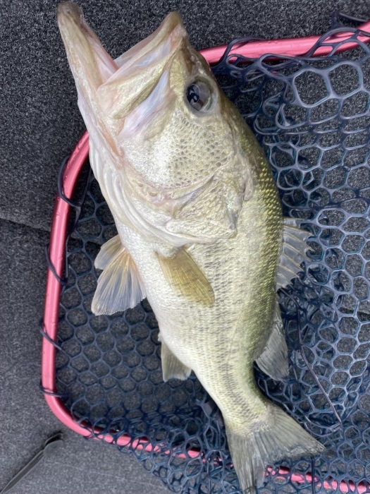 truth  ブログ写真 2021/09/26