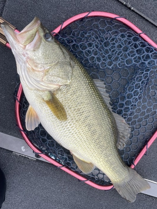 truth  ブログ写真 2021/09/26