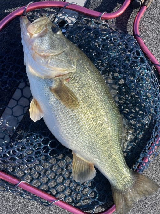 truth  ブログ写真 2021/09/27