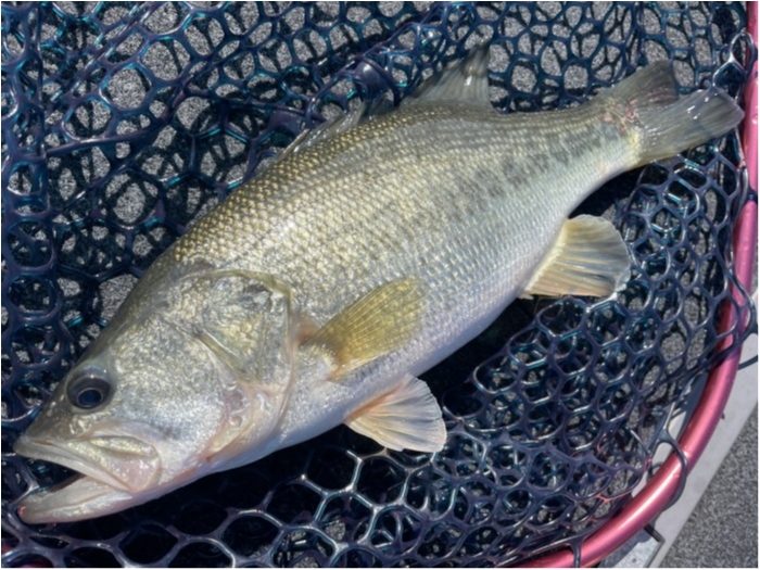 truth  ブログ写真 2021/09/27