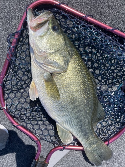 truth  ブログ写真 2021/09/27