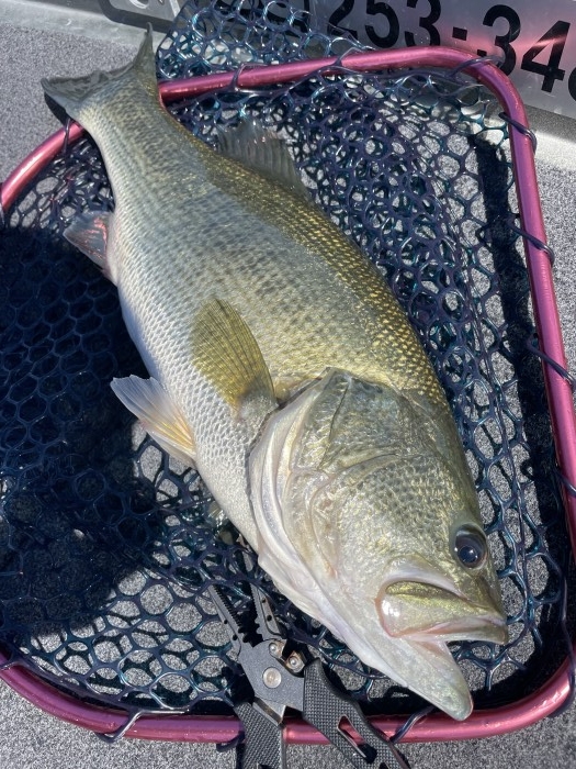 truth  ブログ写真 2021/09/27