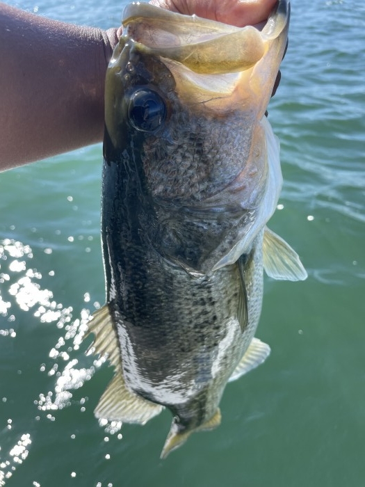 truth  ブログ写真 2021/09/27