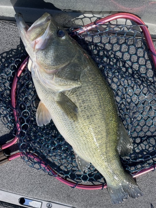 truth  ブログ写真 2021/09/27