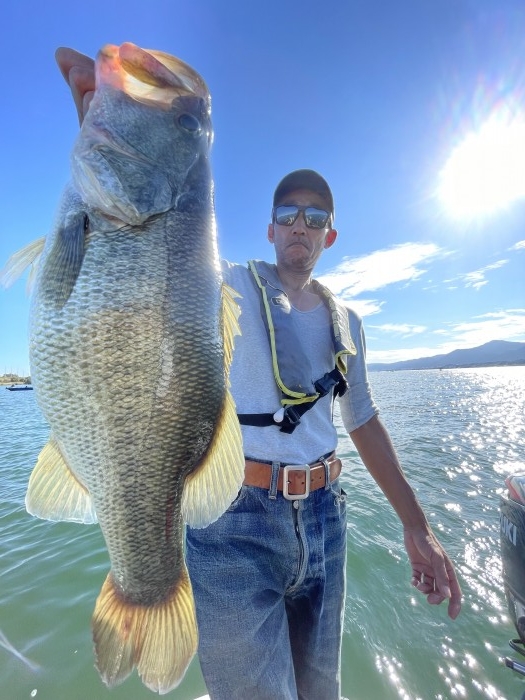 truth  ブログ写真 2021/09/27