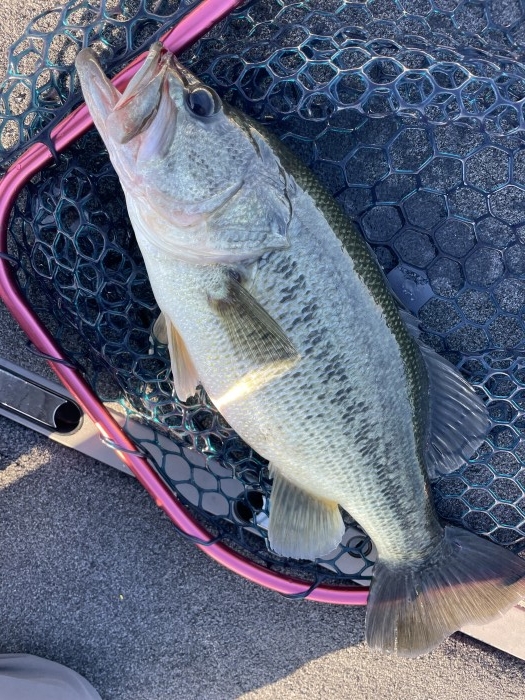 truth  ブログ写真 2021/09/27