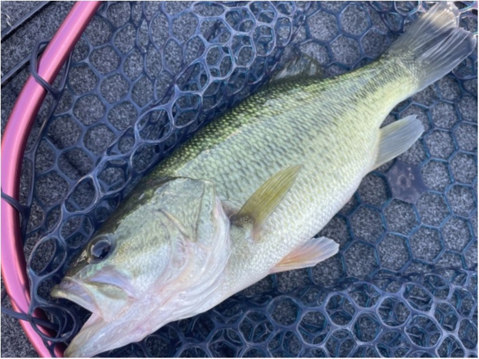 truth  ブログ写真 2021/10/09