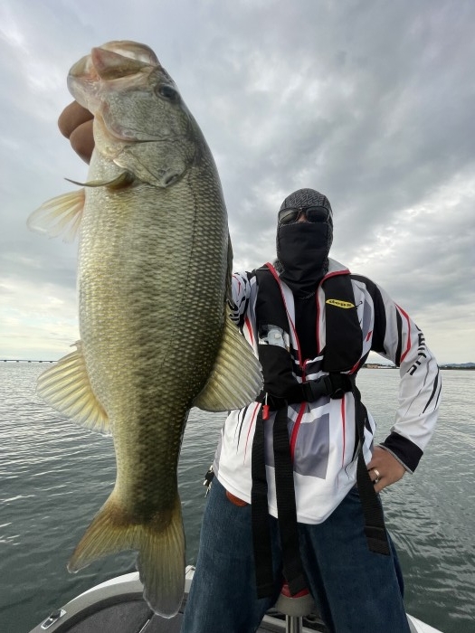 truth  ブログ写真 2021/10/12