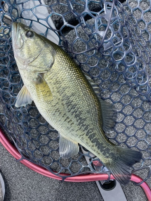 truth  ブログ写真 2021/10/13