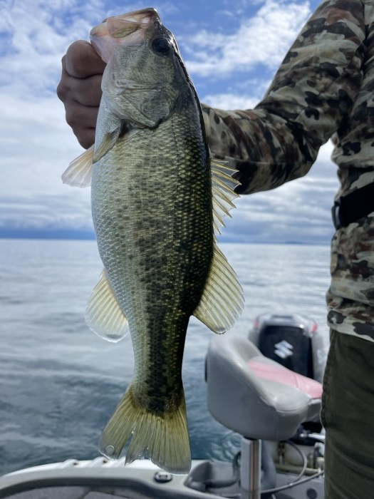 truth  ブログ写真 2021/10/13