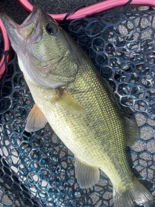 truth  ブログ写真 2021/10/13