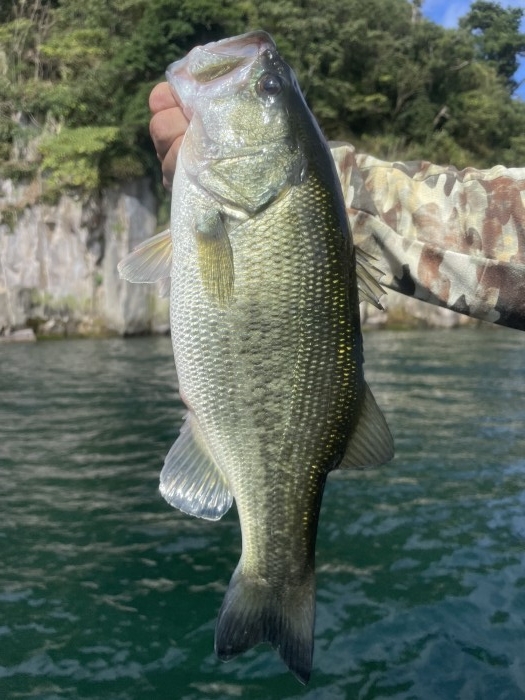 truth  ブログ写真 2021/10/13