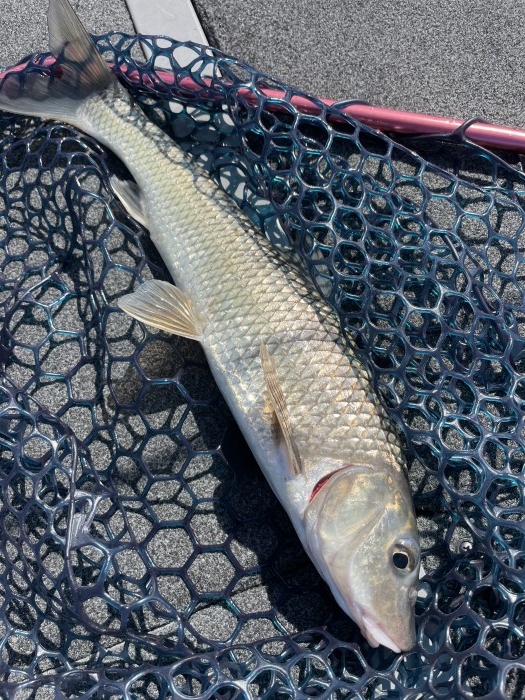 truth  ブログ写真 2021/10/16