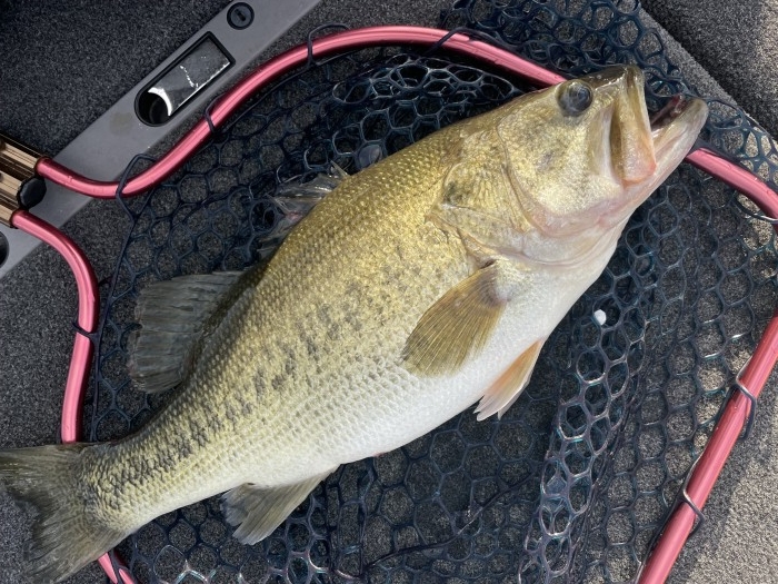 truth  ブログ写真 2021/10/23