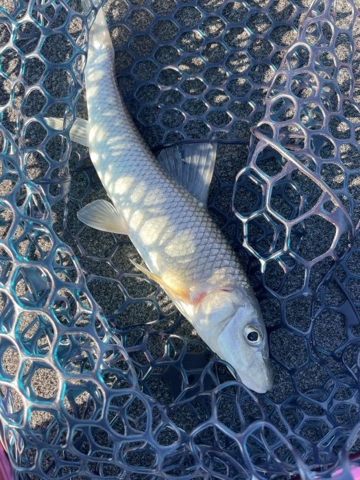 truth  ブログ写真 2021/10/24