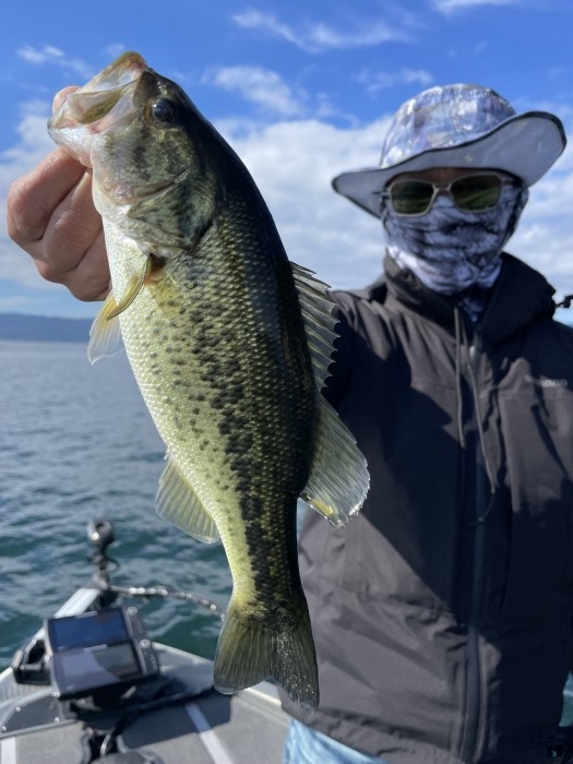 truth  ブログ写真 2021/10/24