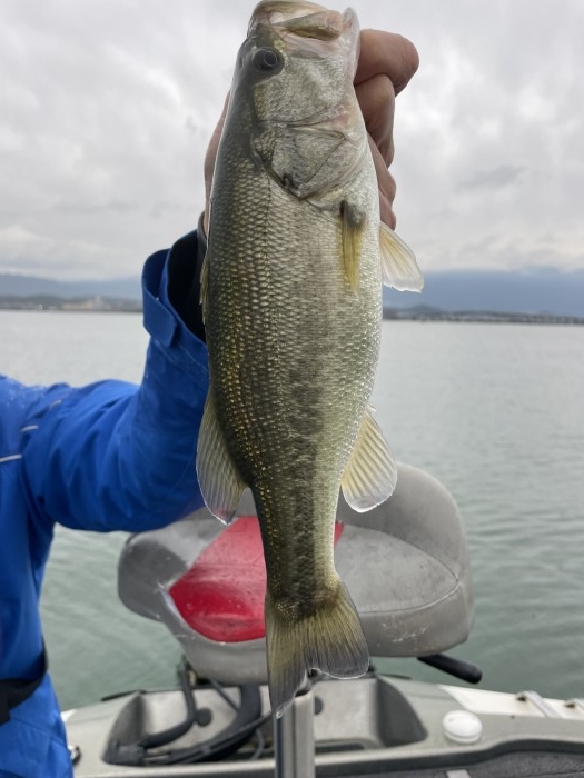 truth  ブログ写真 2021/10/25