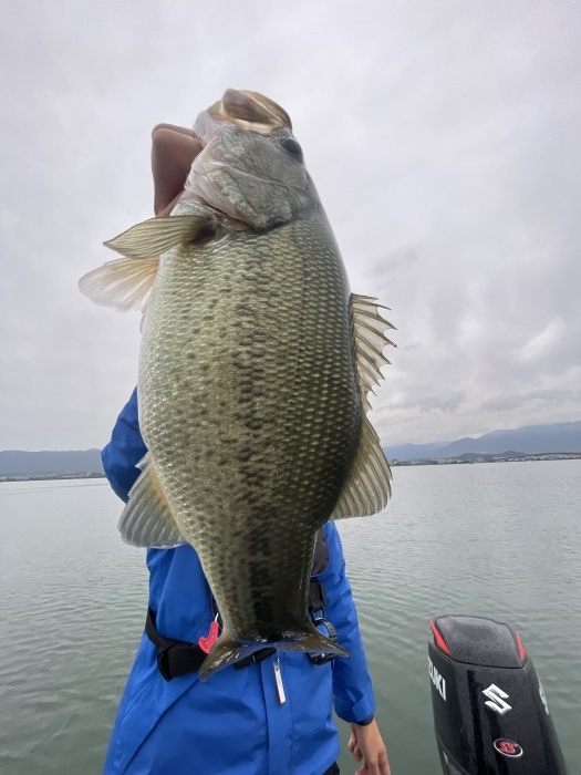 truth  ブログ写真 2021/10/25