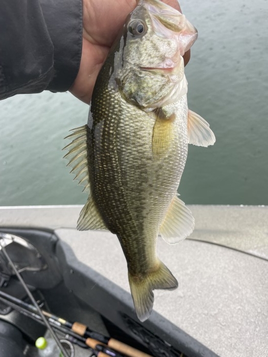 truth  ブログ写真 2021/10/25