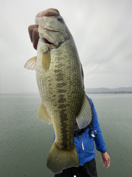 truth  ブログ写真 2021/10/25