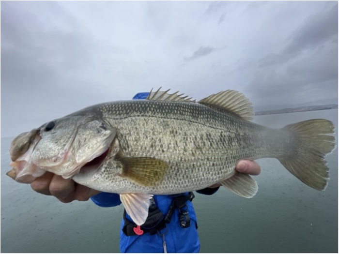 truth  ブログ写真 2021/10/25