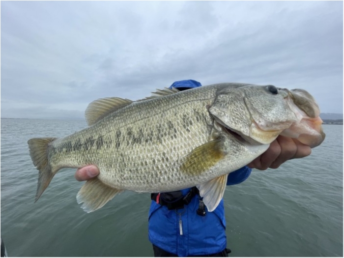 truth  ブログ写真 2021/10/25