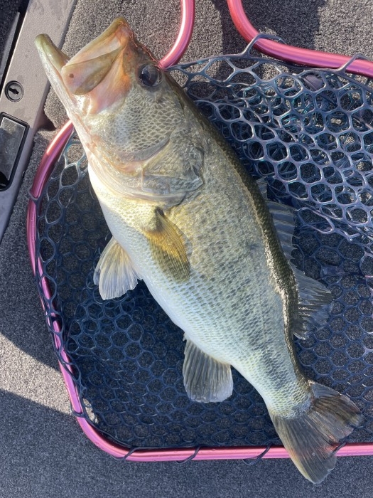 truth  ブログ写真 2021/10/26