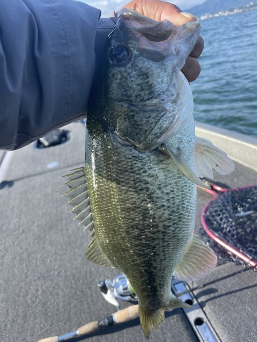 truth  ブログ写真 2021/10/26