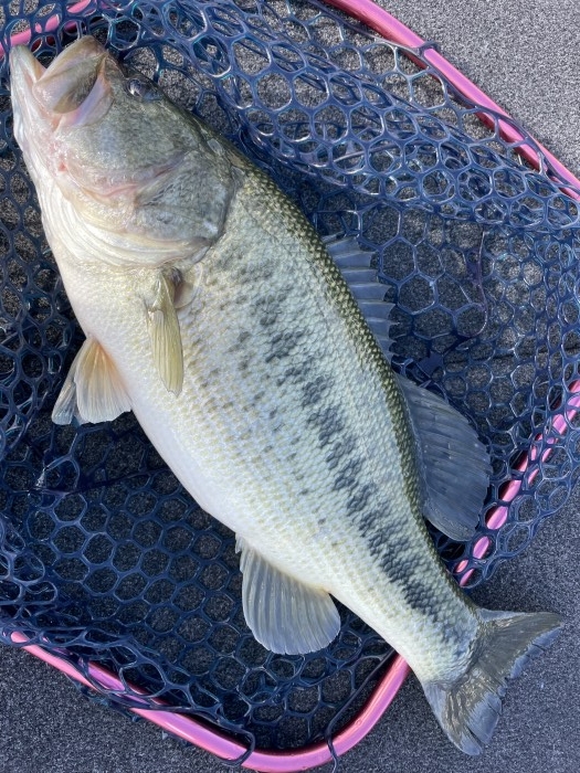 truth  ブログ写真 2021/10/26