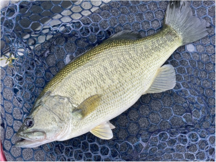 truth  ブログ写真 2021/10/26