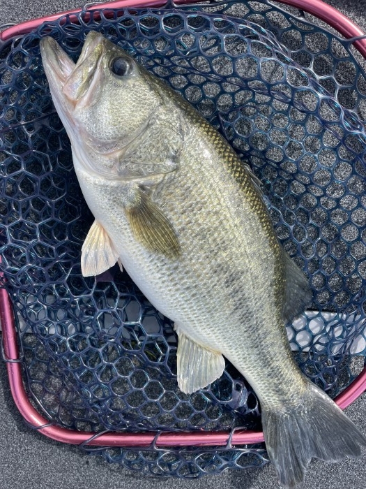 truth  ブログ写真 2021/10/26