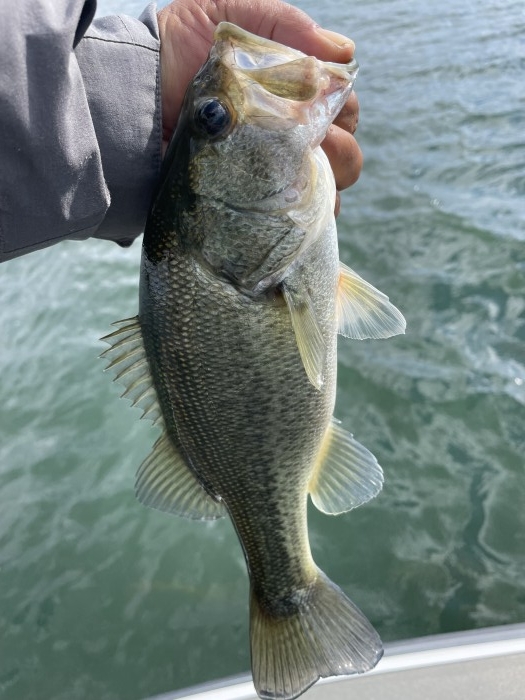 truth  ブログ写真 2021/10/26