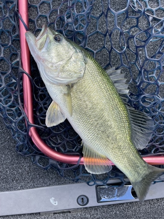 truth  ブログ写真 2021/10/26