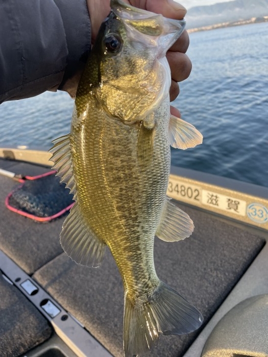 truth  ブログ写真 2021/10/27